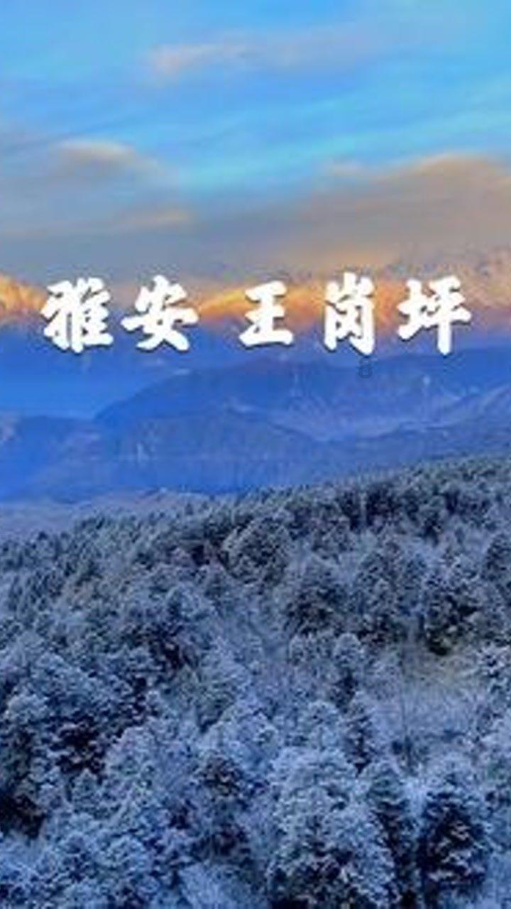 代表委员这一年丨安徽省人大代表夏力：建议统筹开通跨县区直达公交
